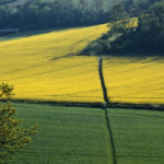 Top 10 Things to do in Tonbridge 800x400 header