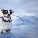 What is investment return blog