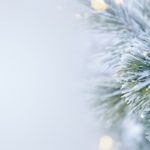 sophisticated Christmas styling blog header