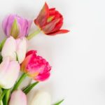 Spring decor ideas blog header